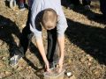IMG 0029  1 