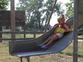 IMG 7184