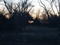 IMG 0014