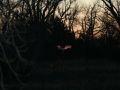 IMG 0022