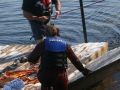 IMG 0032