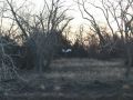 IMG 0035