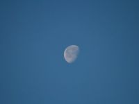 IMG 0066