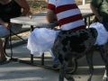IMG 0018
