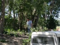 IMG 0003