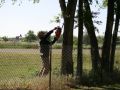 IMG 0015