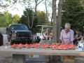 IMG 5928