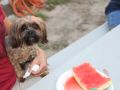IMG 5945