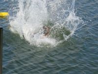 IMG 0042