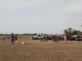 IMG 1349  Large 