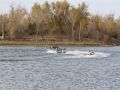 IMG 1368  Large 