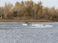 IMG 1368  Large 
