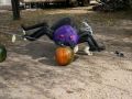 IMG 0008