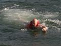 IMG 0011 1   Large 