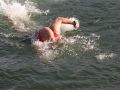 IMG 0012 1   Large 