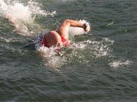 IMG 0012 1   Large 
