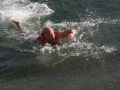 IMG 0017 1   Large 