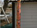 IMG 0019