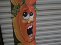 IMG 0021