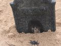 IMG 0030