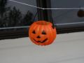 IMG 0046