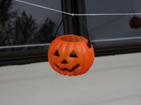 IMG 0046