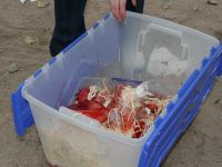 IMG 1412  Large  001