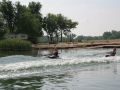 IMG 0603  Large 