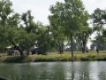 IMG 0627  Large 