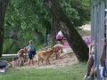 IMG 0754  Large 