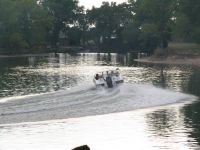 IMG 1268  Large 