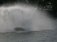 IMG 9590  Medium 