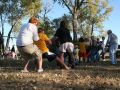 IMG 9719 1   Medium 
