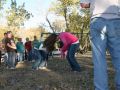 IMG 9722 1   Medium 
