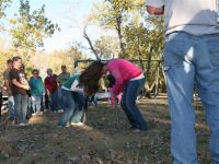IMG 9722 1   Medium 