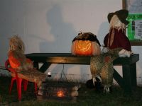 IMG 9742 1   Medium 