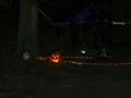 IMG 9746  Medium 
