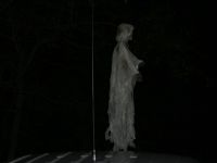 IMG 9748  Medium 