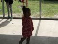 IMG 1306