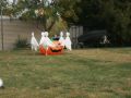 IMG 0060