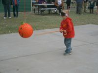 IMG 0069