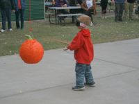 IMG 0070