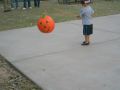 IMG 0071