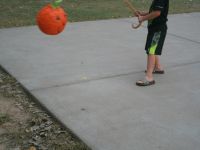 IMG 0073