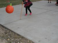 IMG 0077