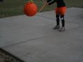 IMG 0079
