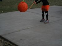 IMG 0079