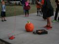IMG 0083