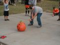 IMG 0084