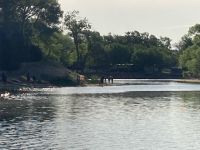img 0066